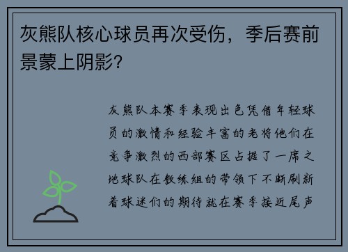 灰熊队核心球员再次受伤，季后赛前景蒙上阴影？